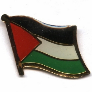 Palestine flag pins