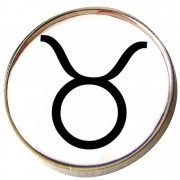 Taurus lapel pins