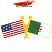USA Algeria Flag Pins