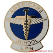 School Lapel Pins