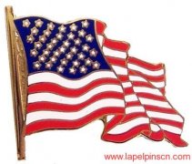 USA Lapel Pins