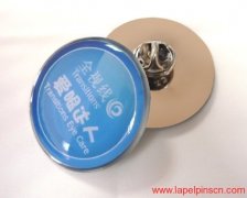 American Transitions Optical Company Lapel Pin