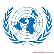 United Nations Lapel Pin Obtained With Skilled Craft