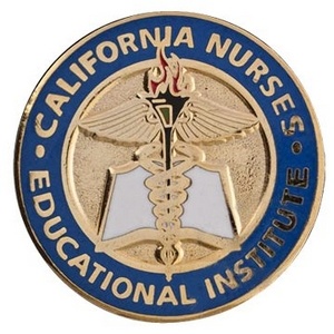 nursing graduation pin