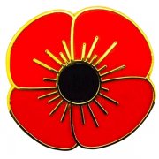 Poppy Lapel Pins