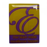 Team Lapel Pins