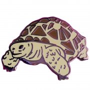 Tortoise Enamel Pins